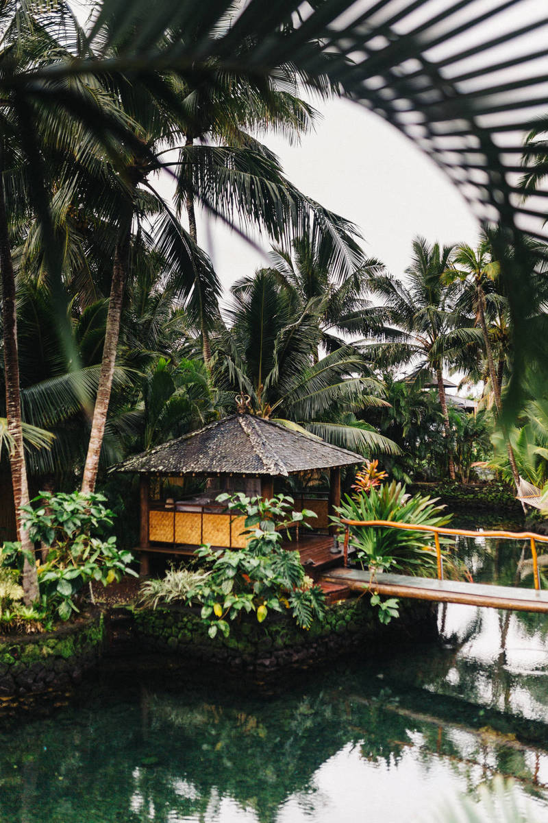 These Delicious Juices Can Promote Hair Growth